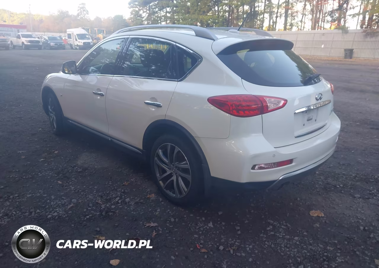 2017 Infiniti Qx50 VIN:JN1BJ0RR2HM402004 - 3