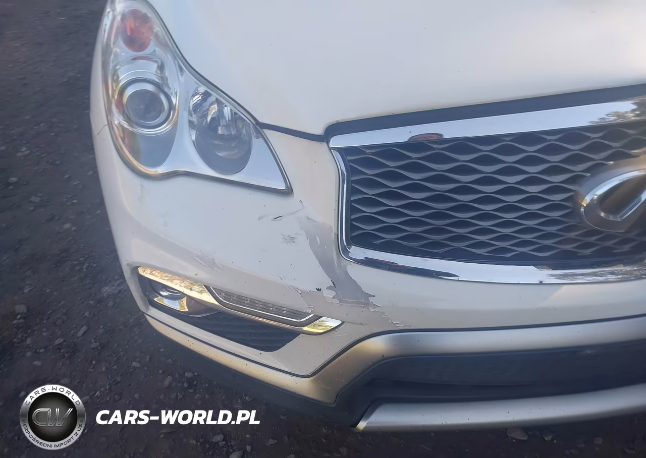2017 Infiniti Qx50 VIN:JN1BJ0RR2HM402004 - 6