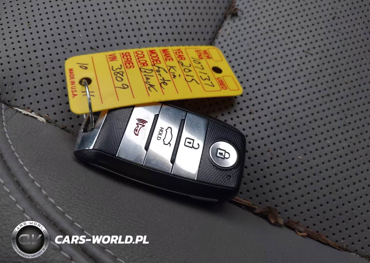 2015 Kia Forte Ex VIN:KNAFZ4A88F5263809 - 11