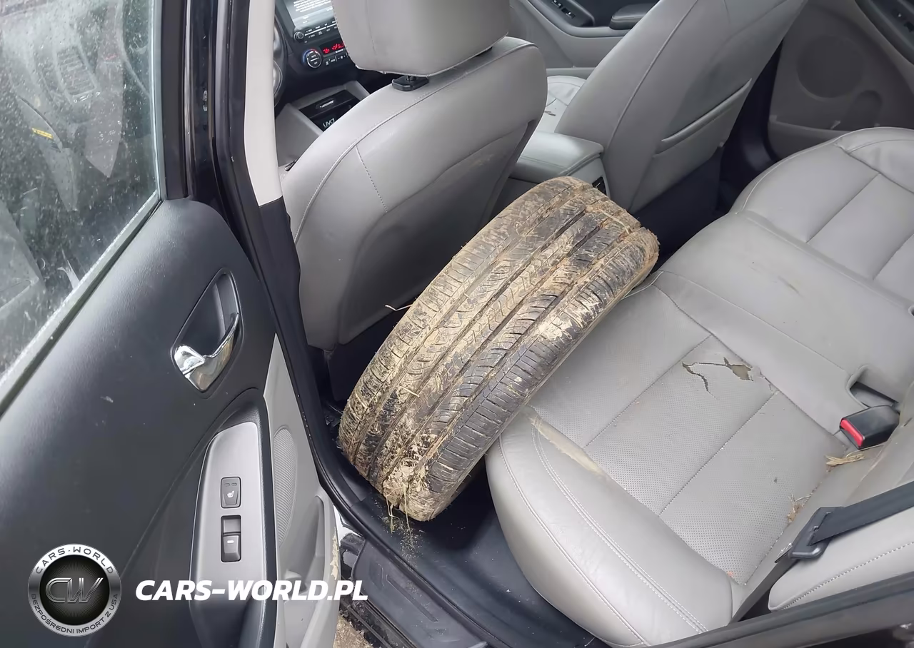 2015 Kia Forte Ex VIN:KNAFZ4A88F5263809 - 12