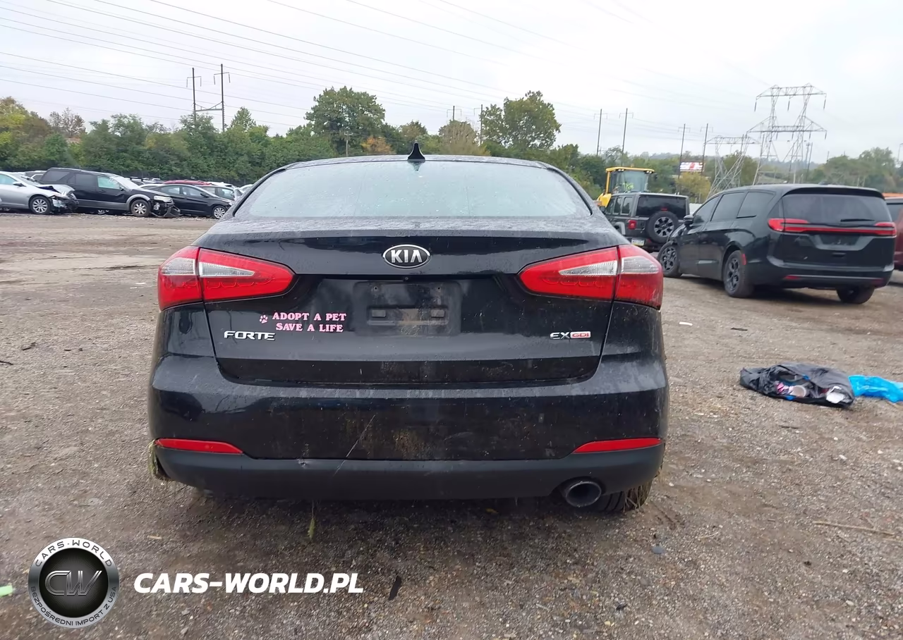 2015 Kia Forte Ex VIN:KNAFZ4A88F5263809 - 17