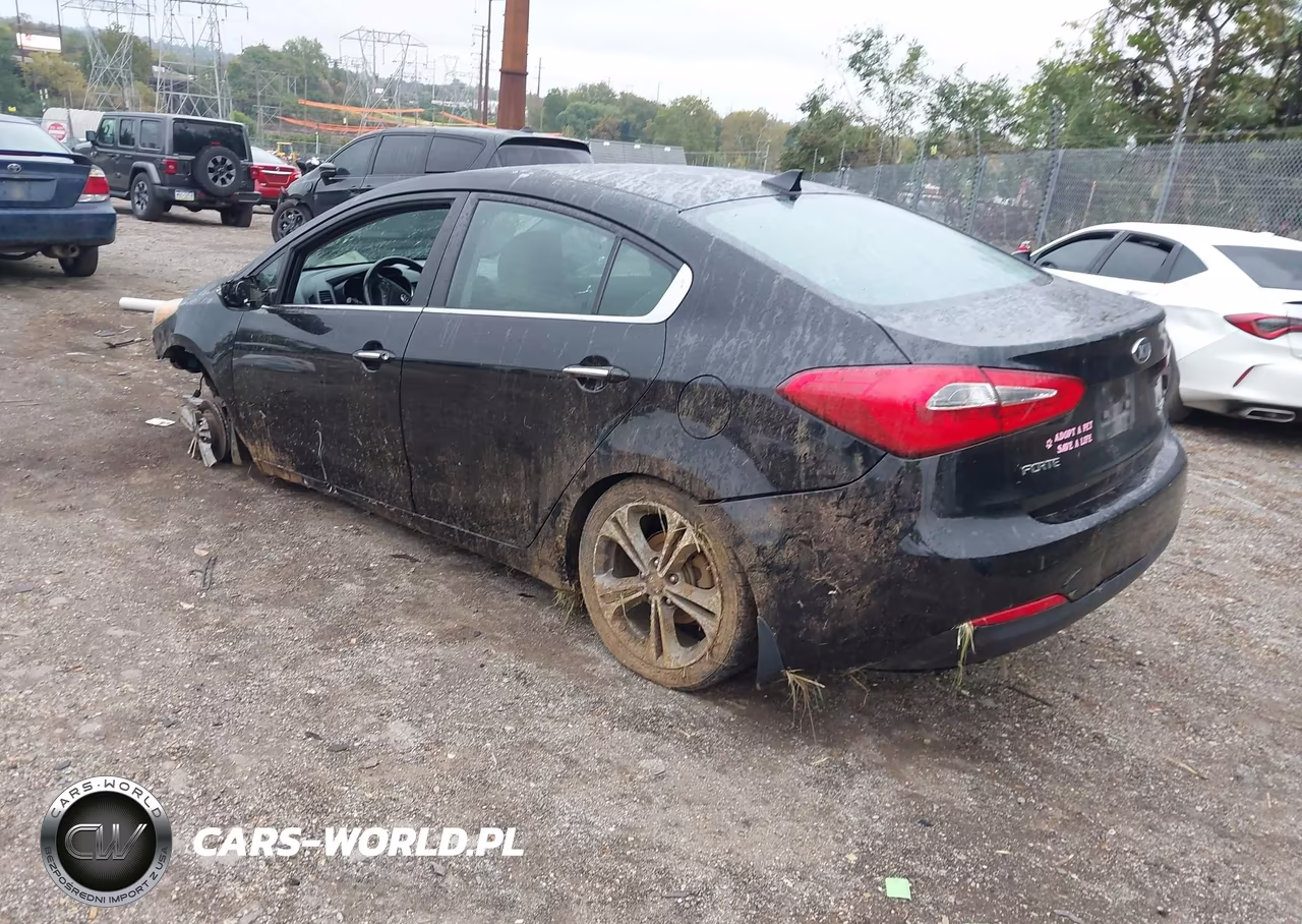 2015 Kia Forte Ex VIN:KNAFZ4A88F5263809 - 3