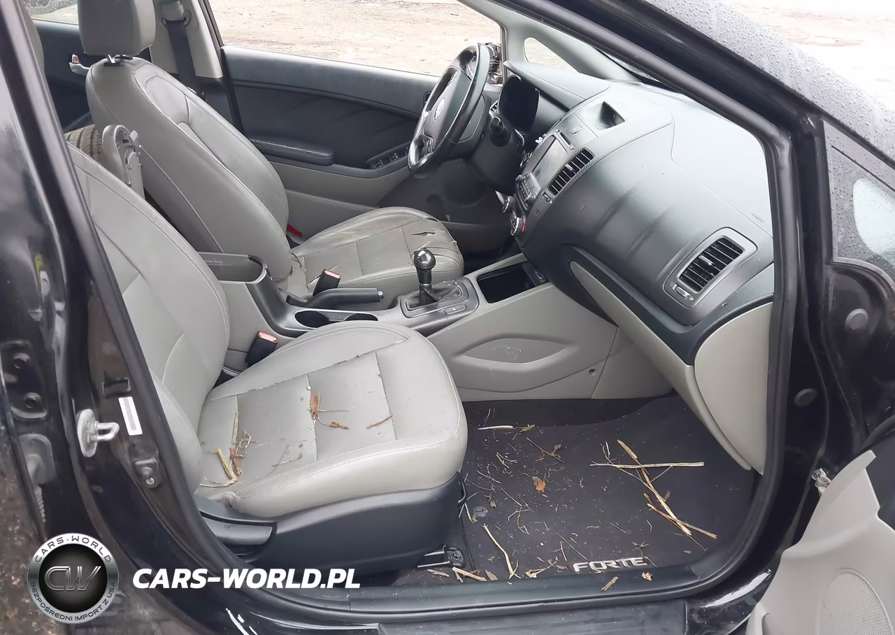 2015 Kia Forte Ex VIN:KNAFZ4A88F5263809 - 5