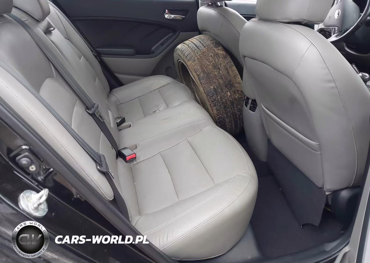 2015 Kia Forte Ex VIN:KNAFZ4A88F5263809 - 8