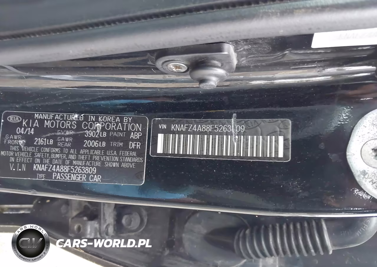 2015 Kia Forte Ex VIN:KNAFZ4A88F5263809 - 9
