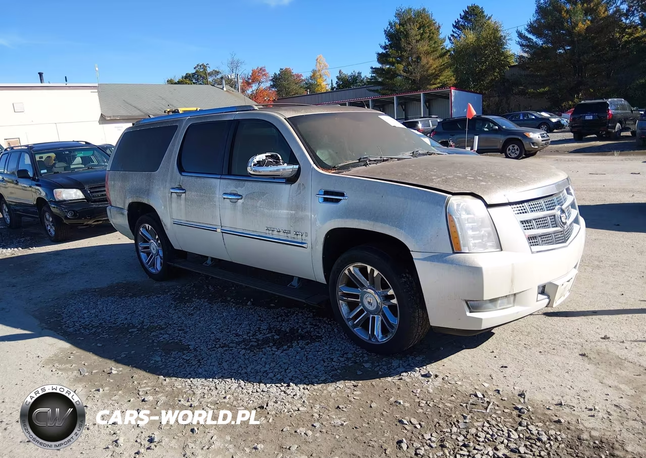 2009 Cadillac Escalade Esv Platinum Edition VIN:1GYFK36269R189478 - 1