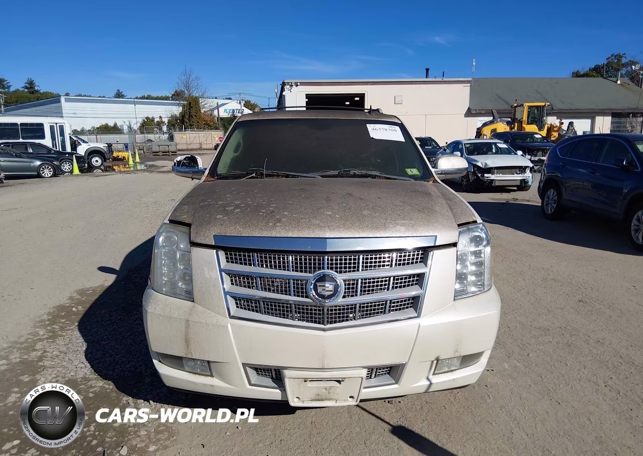 2009 Cadillac Escalade Esv Platinum Edition VIN:1GYFK36269R189478 - 12
