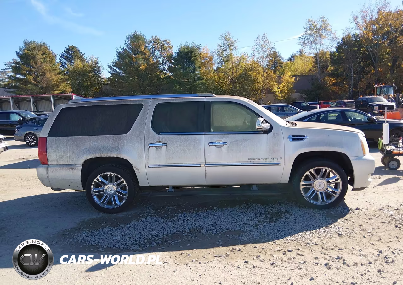 2009 Cadillac Escalade Esv Platinum Edition VIN:1GYFK36269R189478 - 13