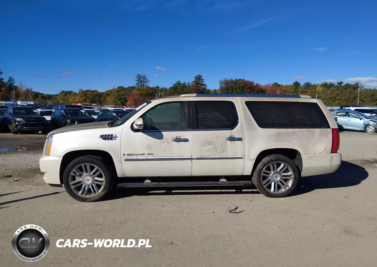 2009 Cadillac Escalade Esv Platinum Edition VIN:1GYFK36269R189478 - 14