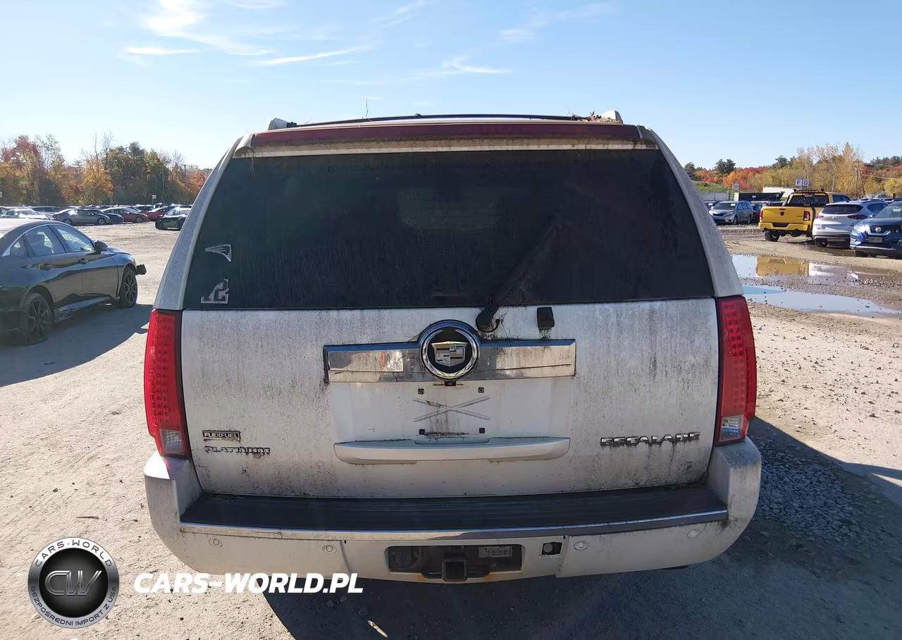 2009 Cadillac Escalade Esv Platinum Edition VIN:1GYFK36269R189478 - 16
