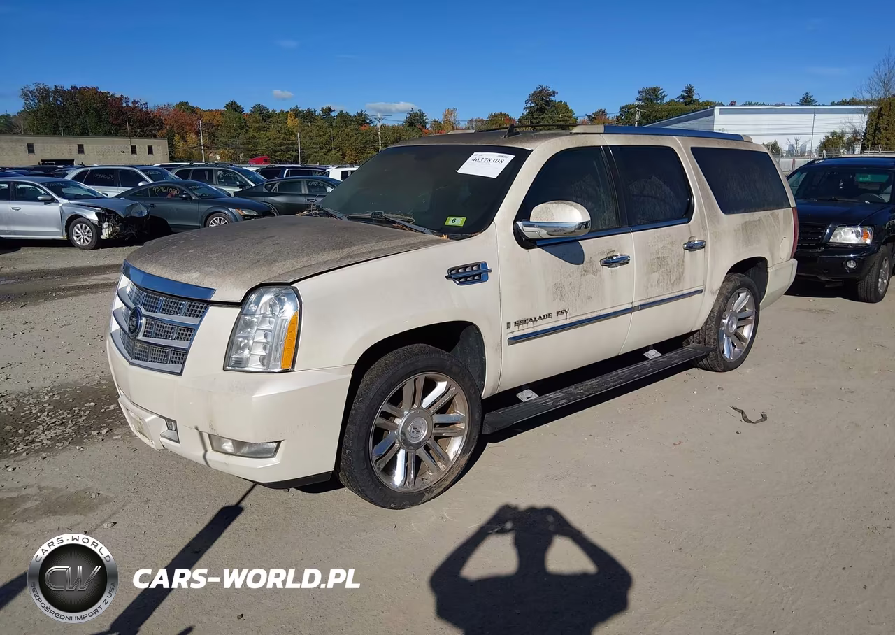 2009 Cadillac Escalade Esv Platinum Edition VIN:1GYFK36269R189478 - 2