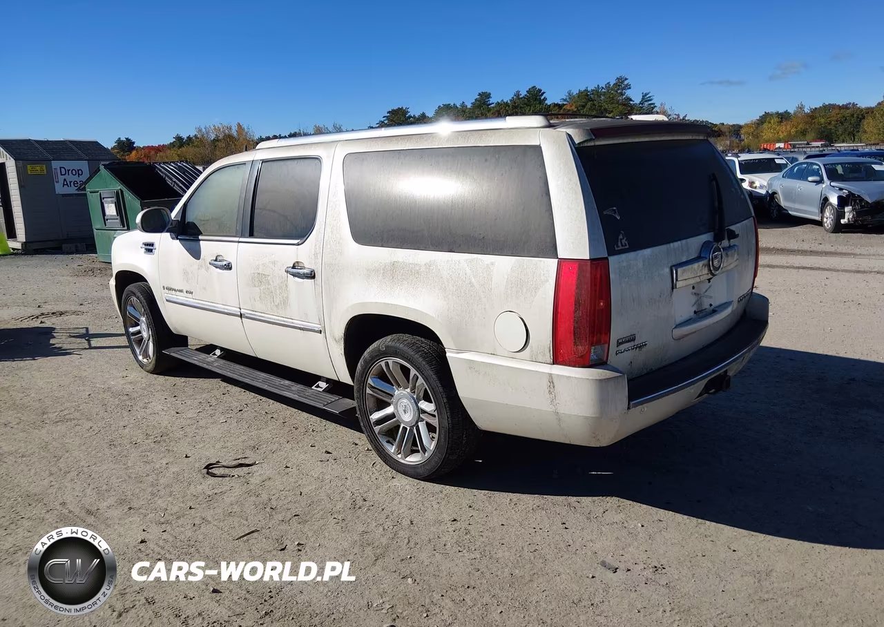 2009 Cadillac Escalade Esv Platinum Edition VIN:1GYFK36269R189478 - 3