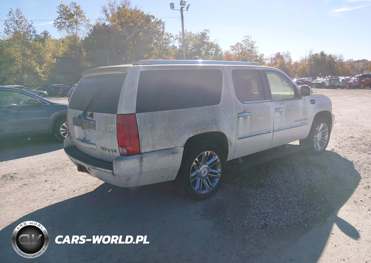 2009 Cadillac Escalade Esv Platinum Edition VIN:1GYFK36269R189478 - 4