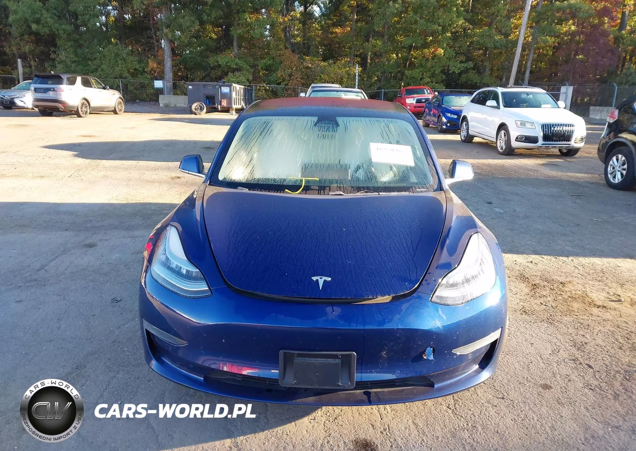 2019 Tesla Model 3 Long Range-Mid Range-Standard Range-Standard Range Plus VIN:5YJ3E1EA7KF301942 - 12