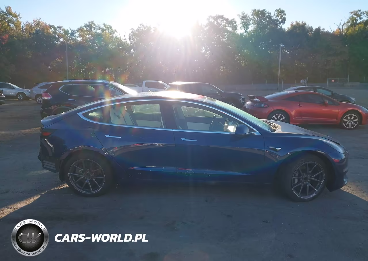 2019 Tesla Model 3 Long Range-Mid Range-Standard Range-Standard Range Plus VIN:5YJ3E1EA7KF301942 - 13