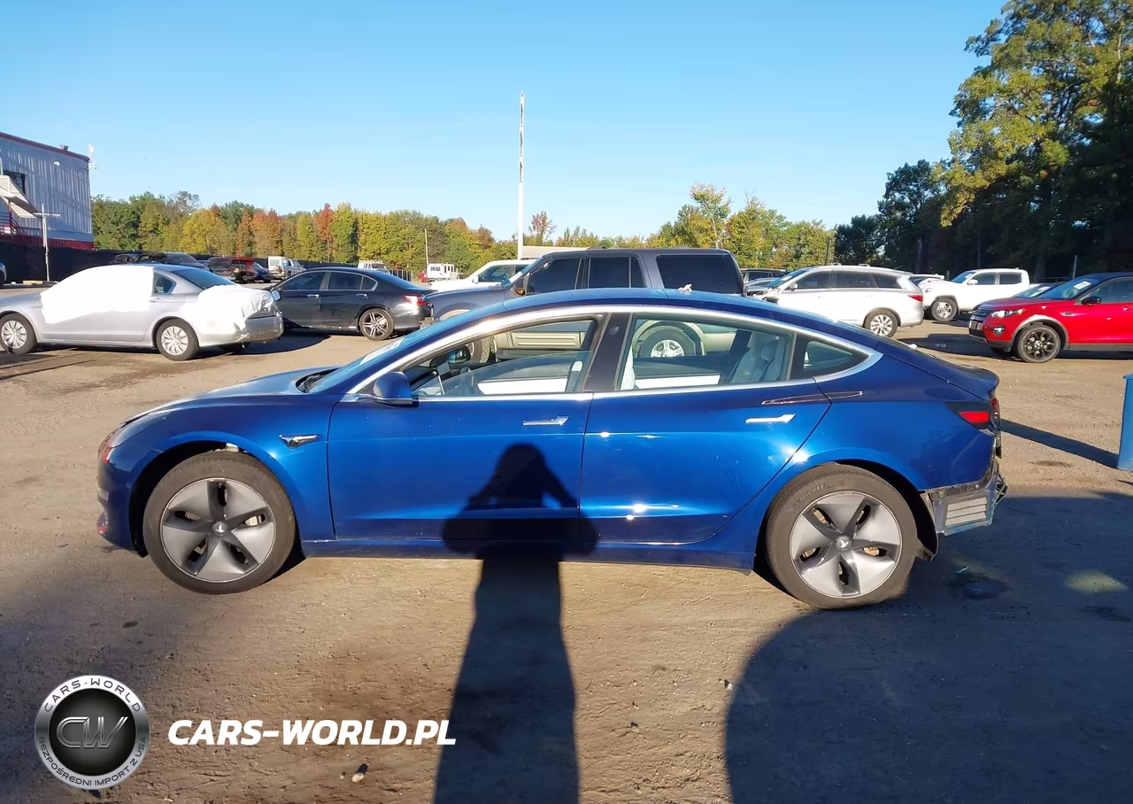 2019 Tesla Model 3 Long Range-Mid Range-Standard Range-Standard Range Plus VIN:5YJ3E1EA7KF301942 - 14