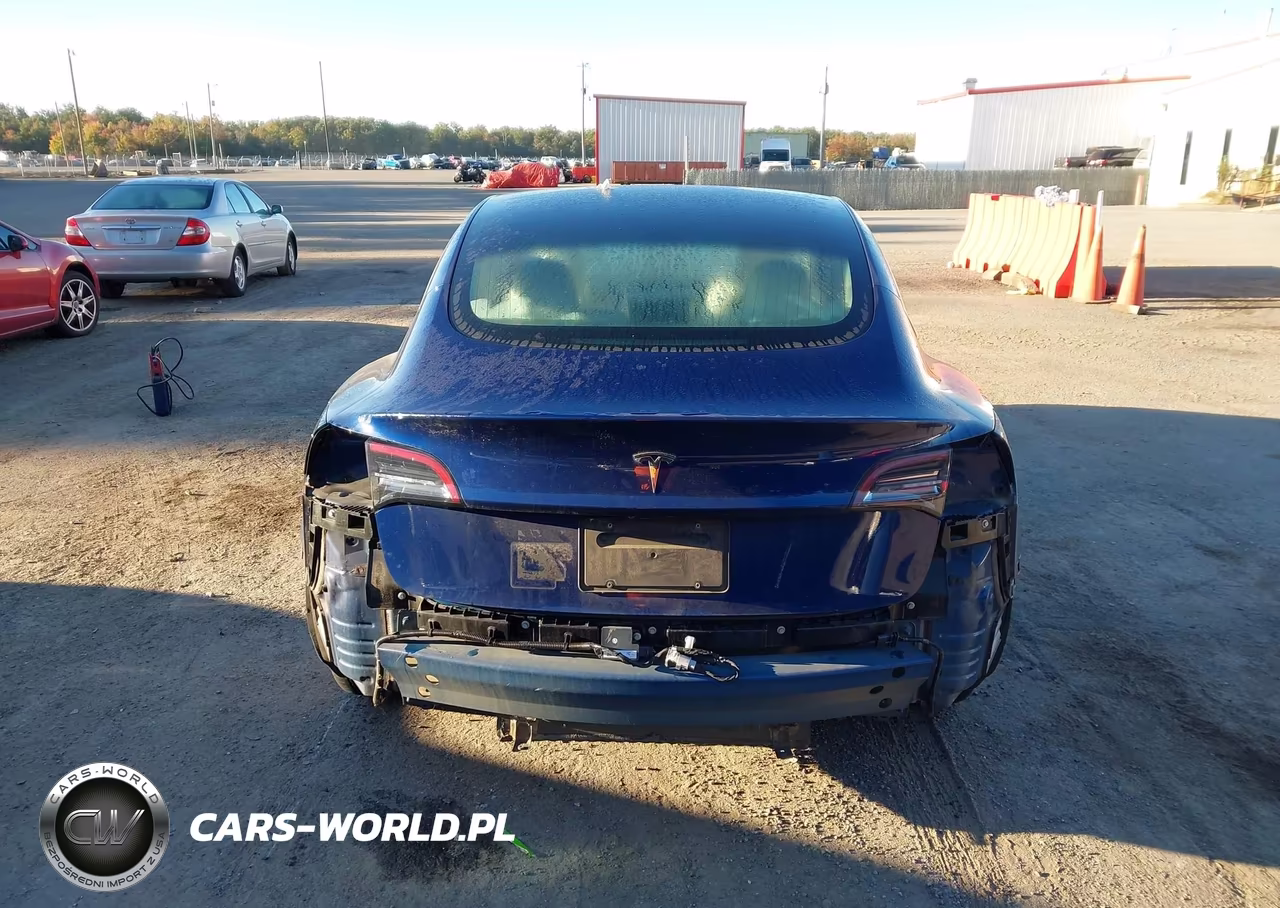 2019 Tesla Model 3 Long Range-Mid Range-Standard Range-Standard Range Plus VIN:5YJ3E1EA7KF301942 - 16