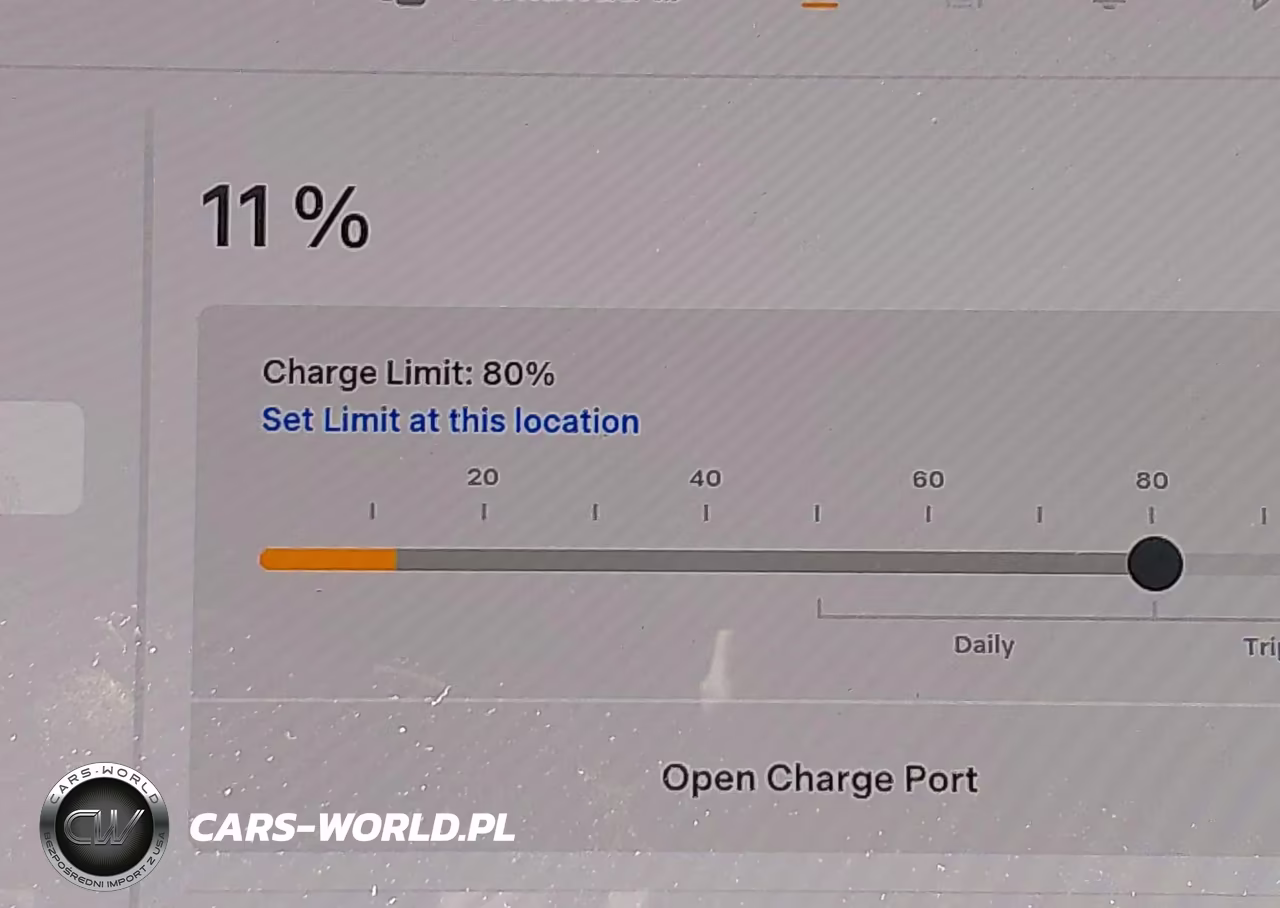 2019 Tesla Model 3 Long Range-Mid Range-Standard Range-Standard Range Plus VIN:5YJ3E1EA7KF301942 - 17