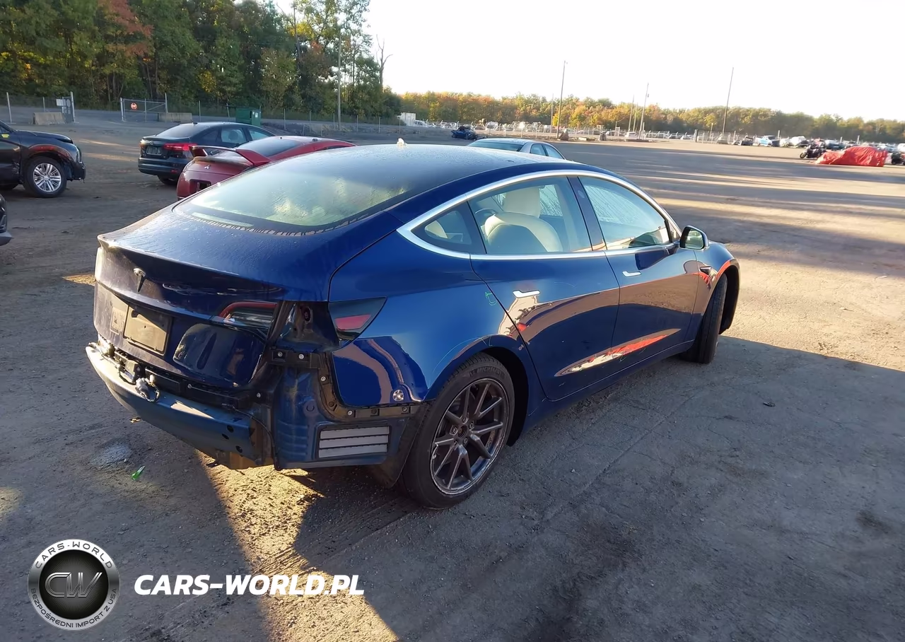2019 Tesla Model 3 Long Range-Mid Range-Standard Range-Standard Range Plus VIN:5YJ3E1EA7KF301942 - 4