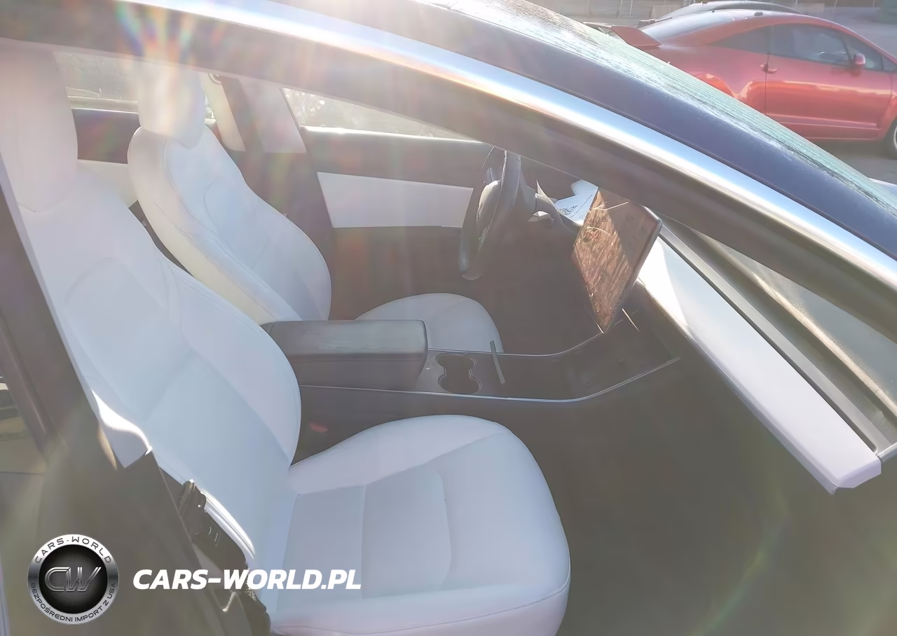 2019 Tesla Model 3 Long Range-Mid Range-Standard Range-Standard Range Plus VIN:5YJ3E1EA7KF301942 - 5