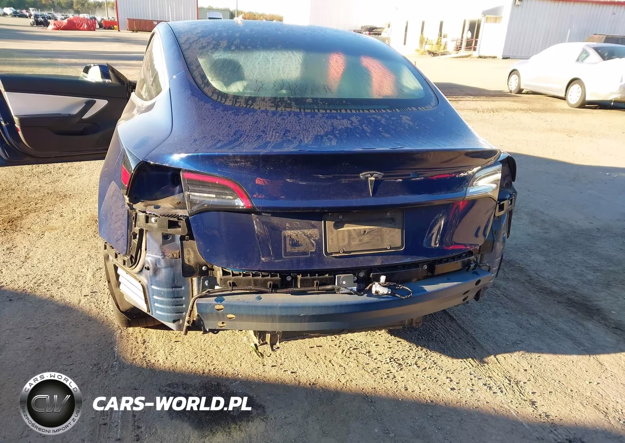 2019 Tesla Model 3 Long Range-Mid Range-Standard Range-Standard Range Plus VIN:5YJ3E1EA7KF301942 - 6
