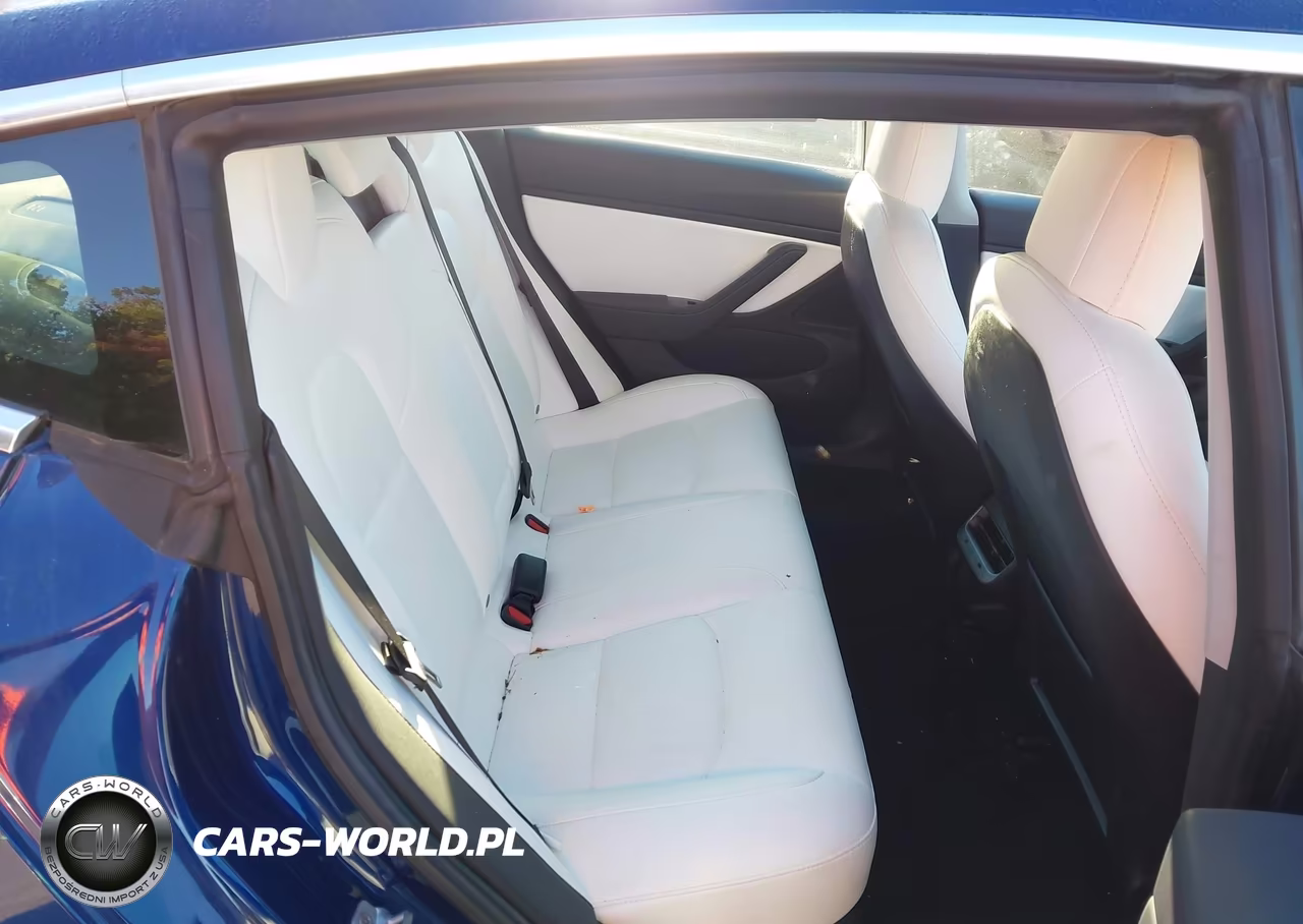 2019 Tesla Model 3 Long Range-Mid Range-Standard Range-Standard Range Plus VIN:5YJ3E1EA7KF301942 - 8
