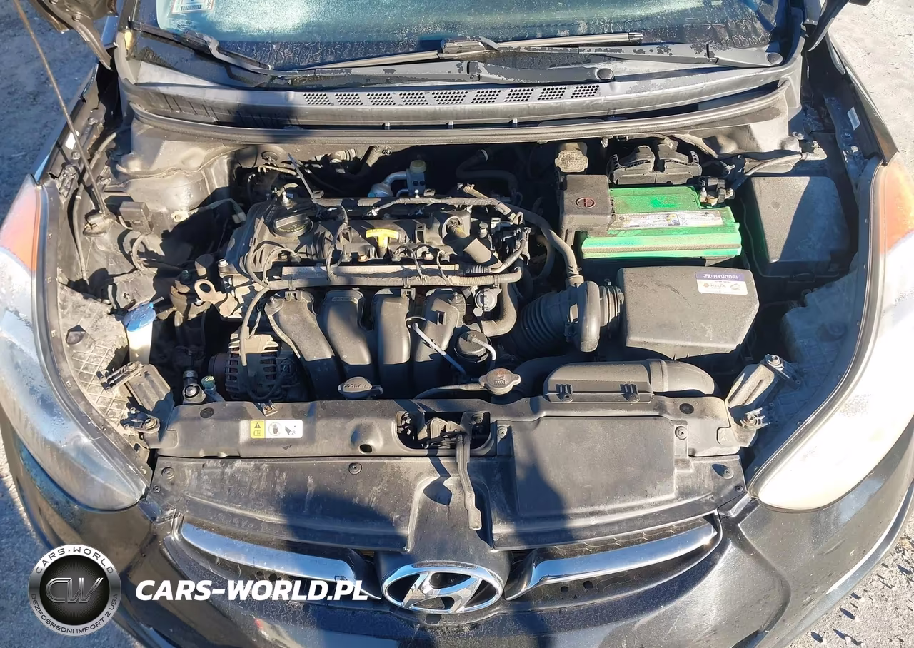 2013 Hyundai Elantra Limited VIN:KMHDH4AE9DU689591 - 10
