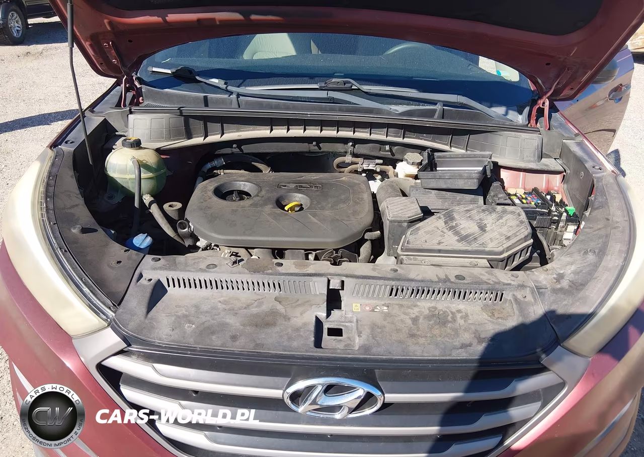2016 Hyundai Tucson Se VIN:KM8J33A47GU024518 - 10