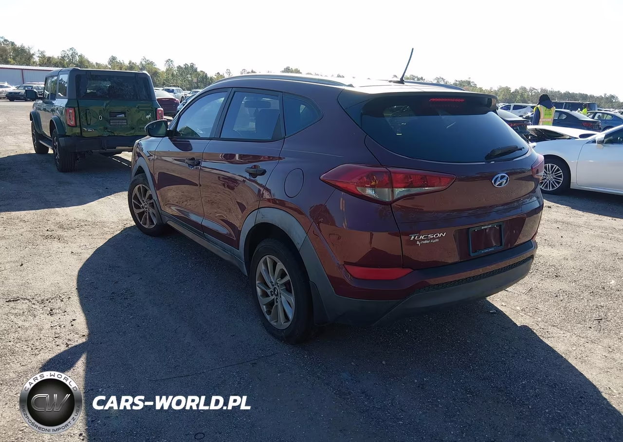 2016 Hyundai Tucson Se VIN:KM8J33A47GU024518 - 3
