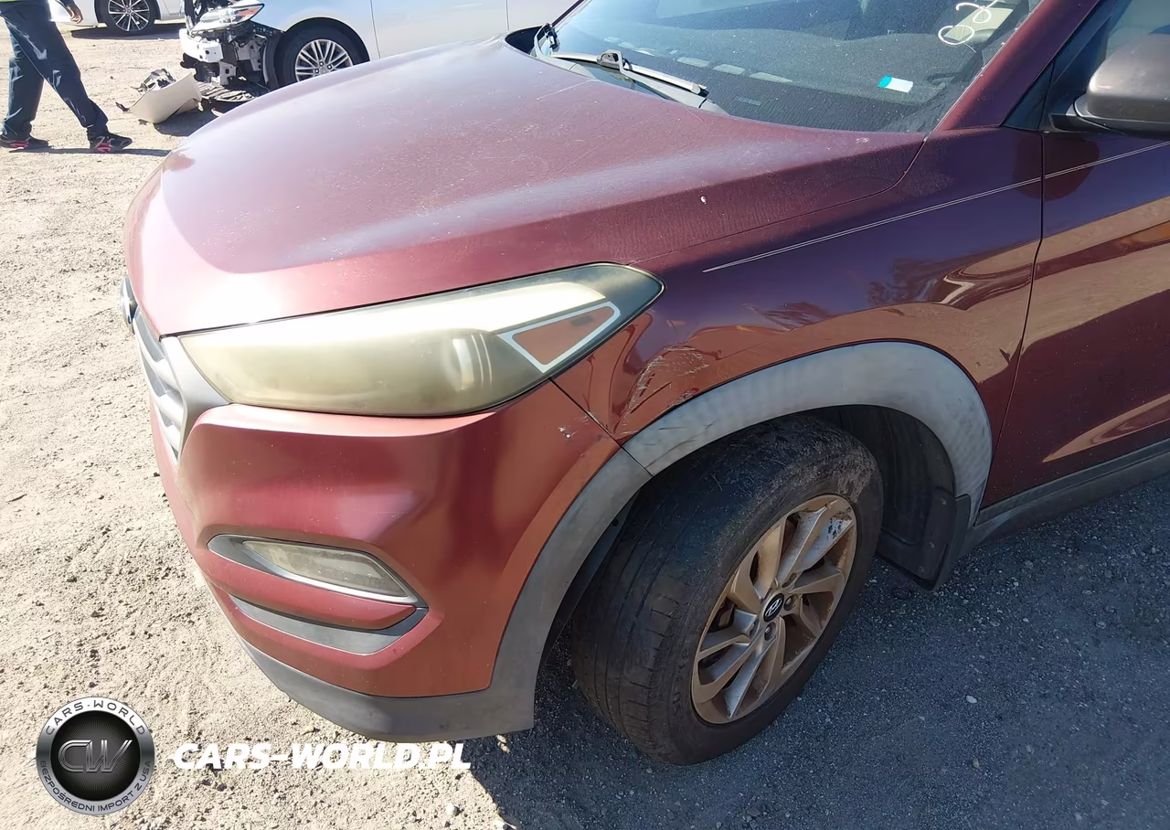 2016 Hyundai Tucson Se VIN:KM8J33A47GU024518 - 6