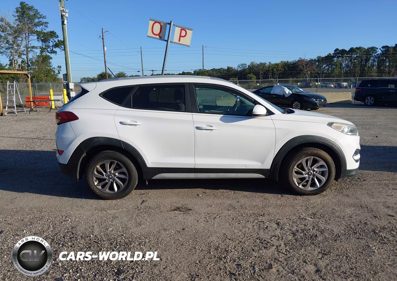 2017 Hyundai Tucson Se VIN:KM8J33A49HU365789 - 12