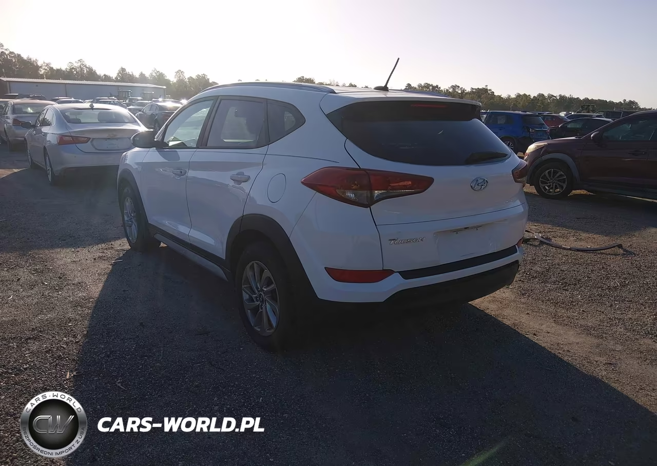 2017 Hyundai Tucson Se VIN:KM8J33A49HU365789 - 3