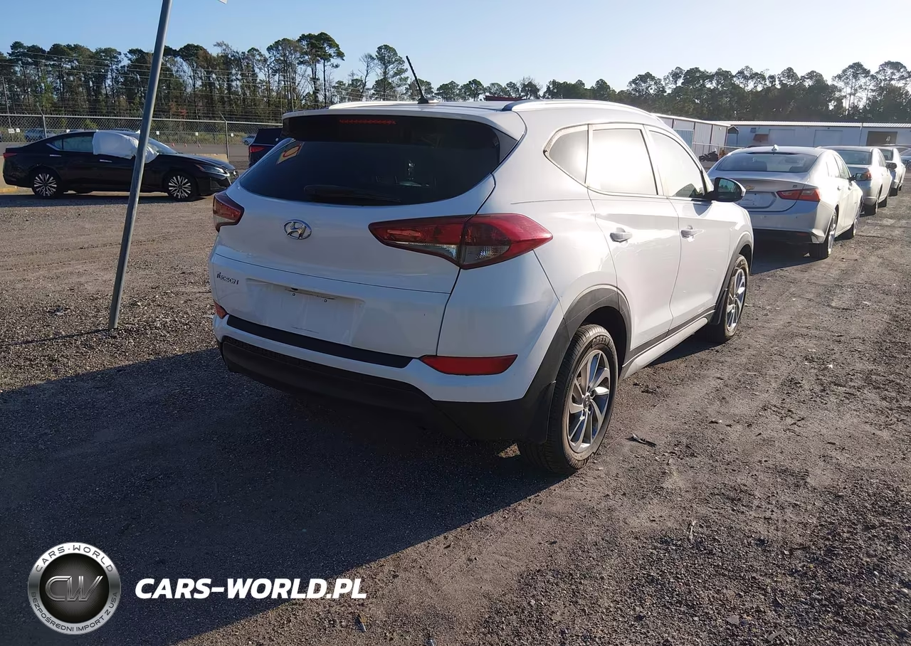 2017 Hyundai Tucson Se VIN:KM8J33A49HU365789 - 4