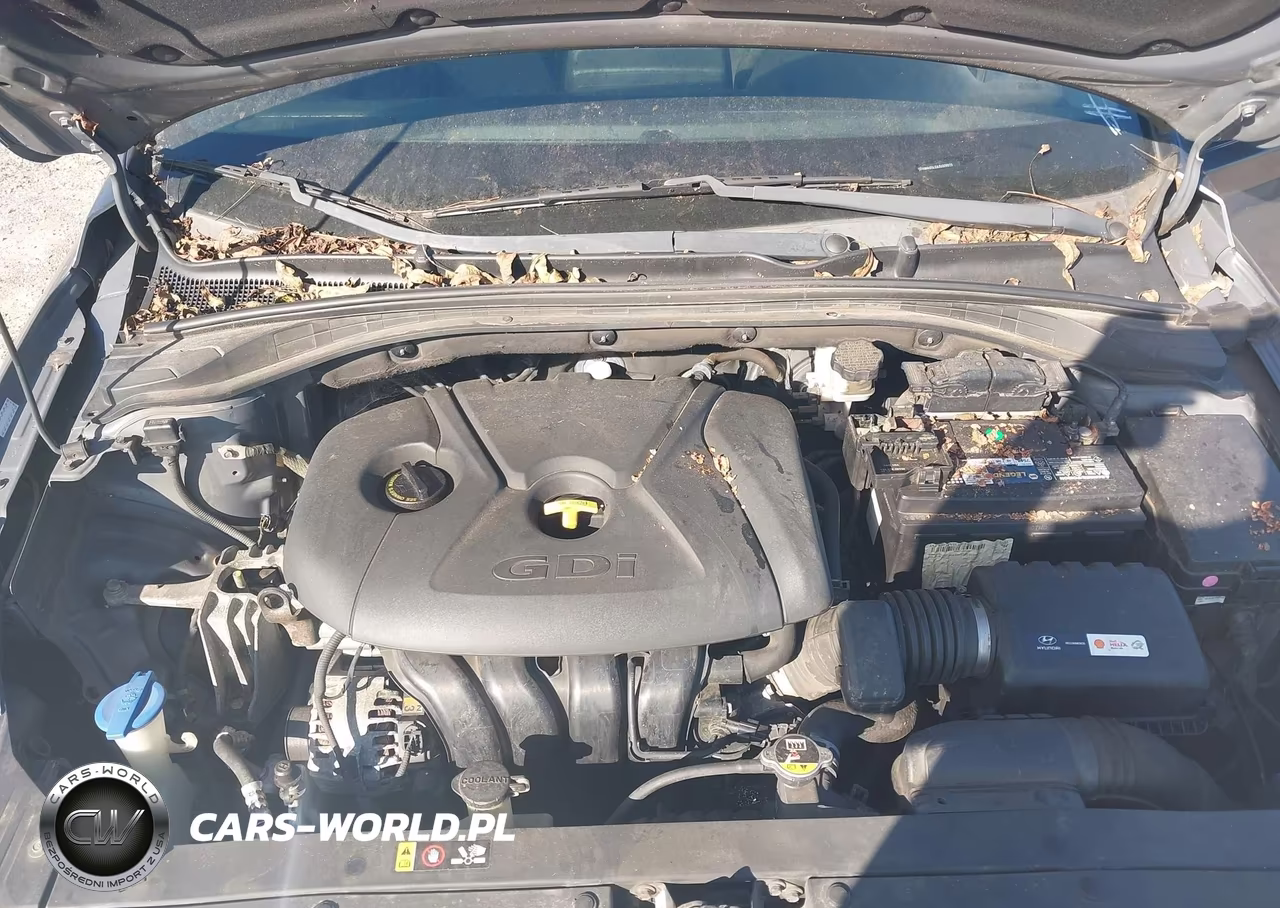 2018 Hyundai Elantra Gt VIN:KMHH35LE6JU009919 - 10