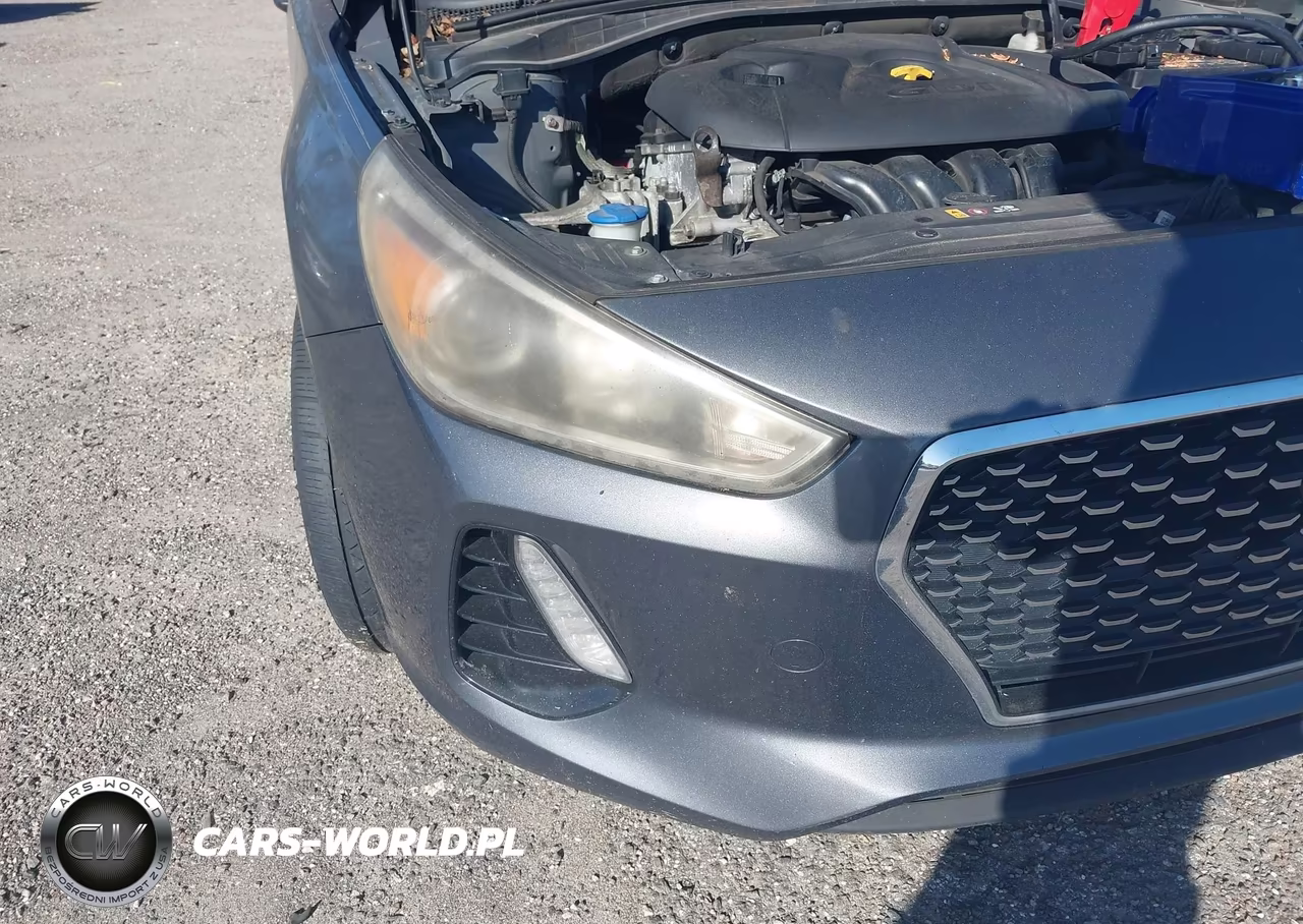 2018 Hyundai Elantra Gt VIN:KMHH35LE6JU009919 - 6