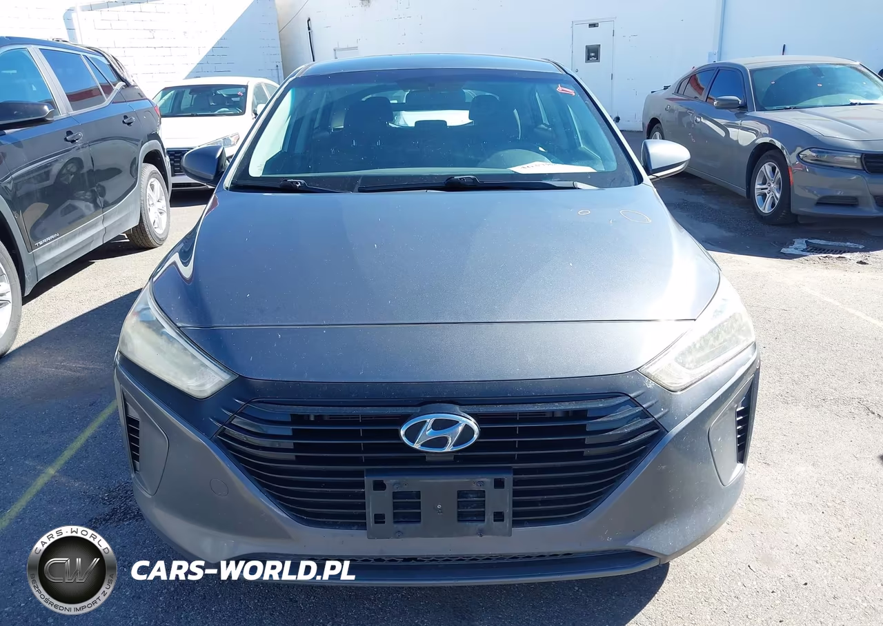 2019 Hyundai Ioniq Hybrid Blue VIN:KMHC65LC7KU106936 - 12