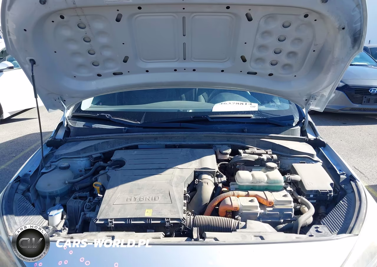 2019 Hyundai Ioniq Hybrid Blue VIN:KMHC65LC1KU158952 - 10