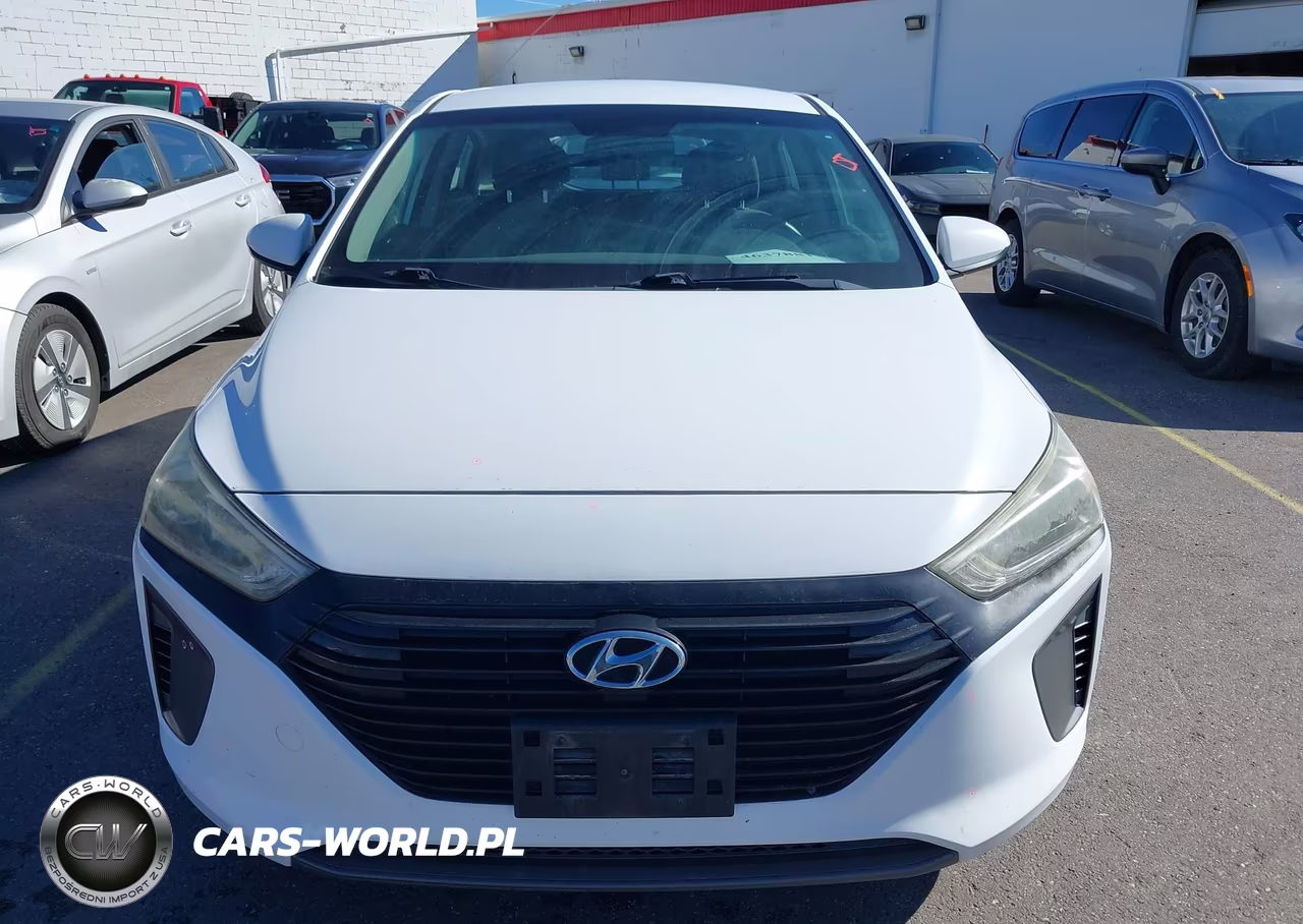 2019 Hyundai Ioniq Hybrid Blue VIN:KMHC65LC6KU106913 - 12