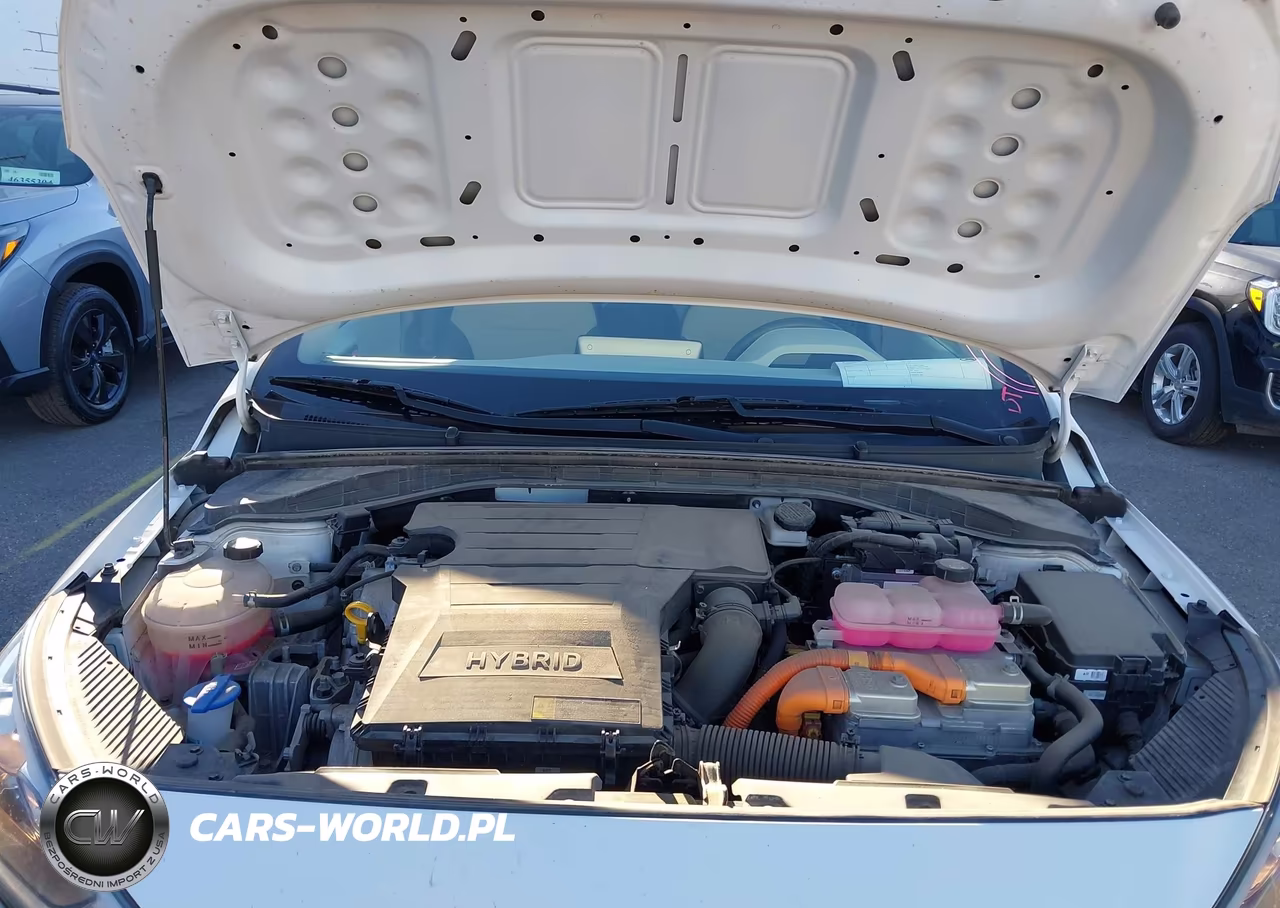 2020 Hyundai Ioniq Hybrid Blue VIN:KMHC65LC5LU233248 - 10