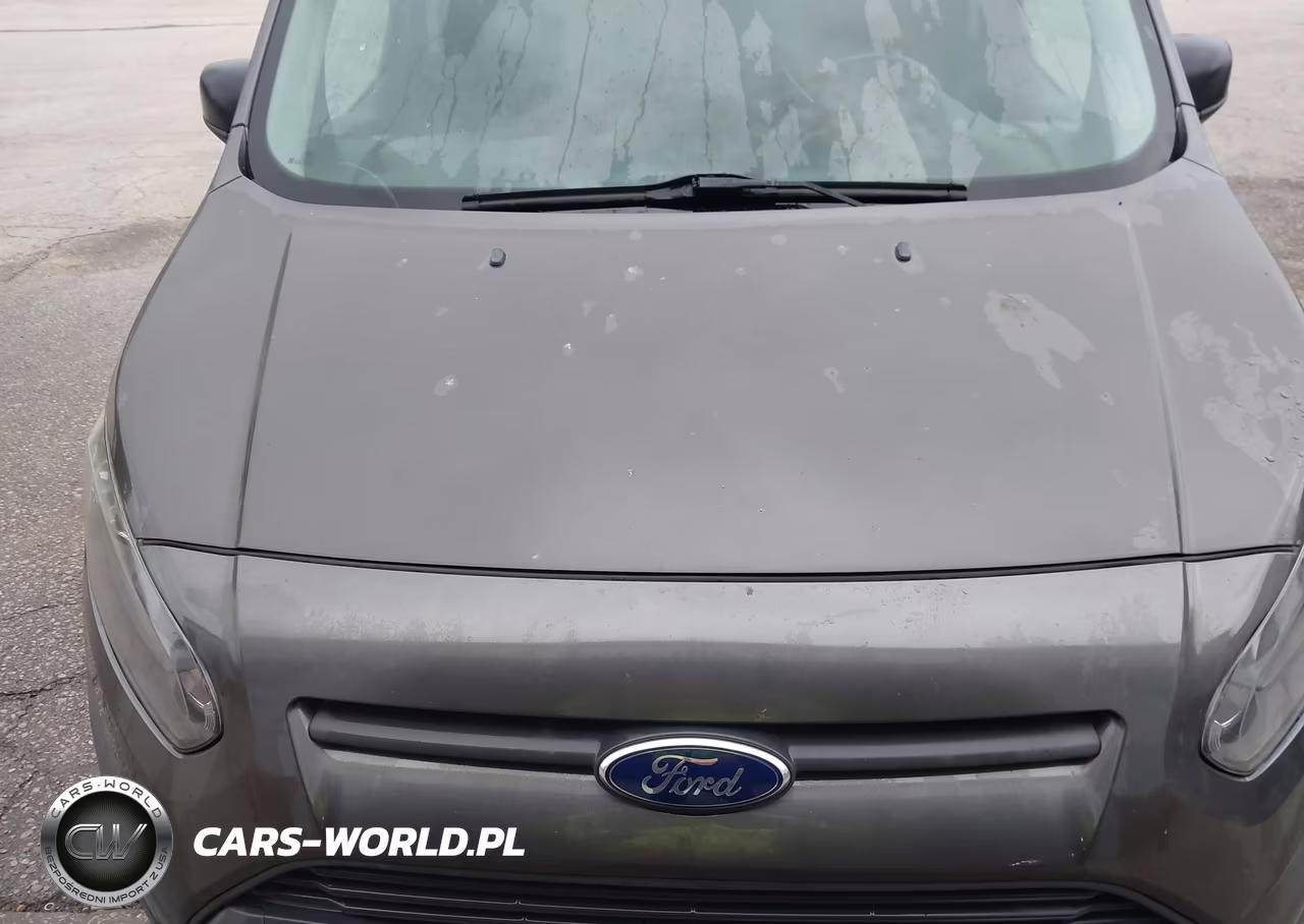 2016 Ford Transit Connect Xl VIN:NM0GE9E79G1278617 - 16