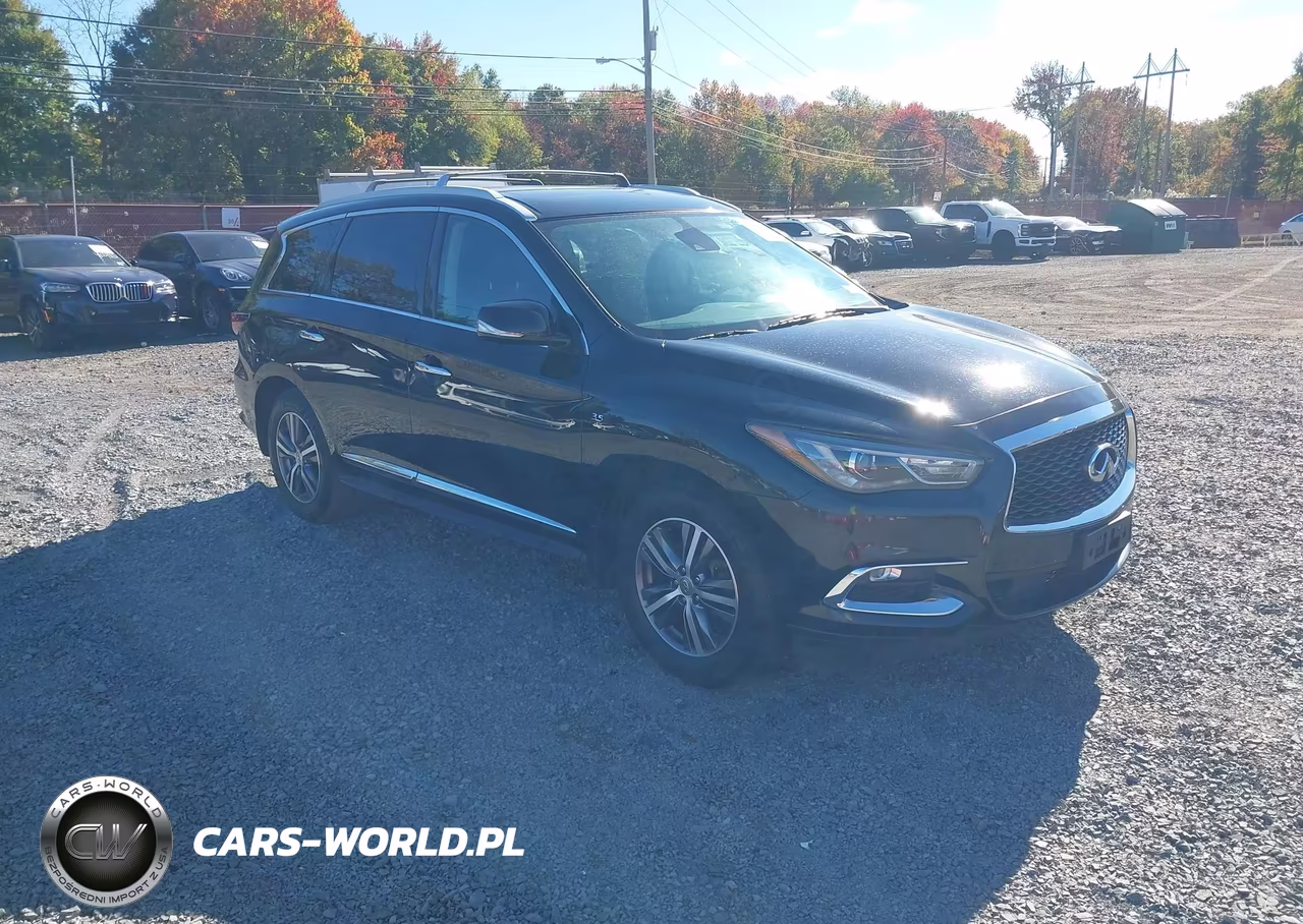 2020 Infiniti Qx60 Luxe Awd VIN:5N1DL0MM6LC540831 - 1