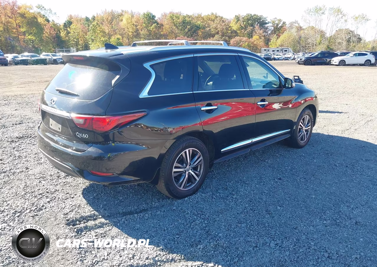 2020 Infiniti Qx60 Luxe Awd VIN:5N1DL0MM6LC540831 - 4