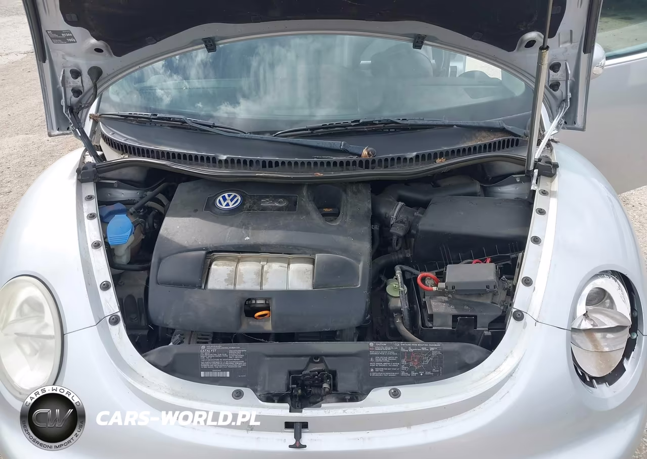 2003 Volkswagen New Beetle Gls VIN:3VWCK21Y73M309051 - 10