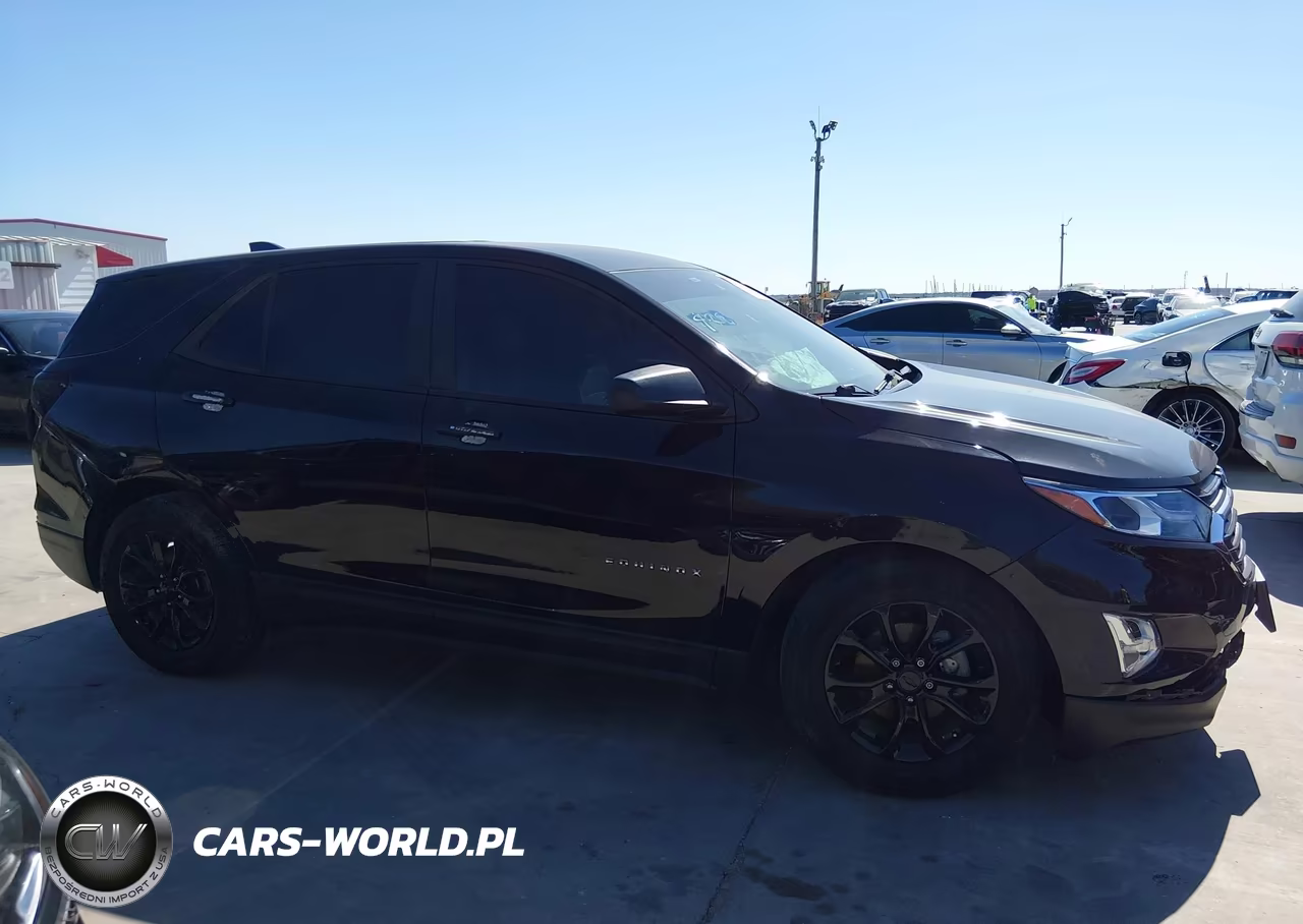 2020 Chevrolet Equinox Fwd Ls VIN:2GNAXHEV9L6163462 - 13