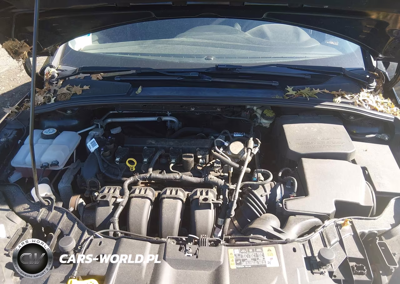 2016 Ford Focus Se VIN:1FADP3F2XGL323400 - 10