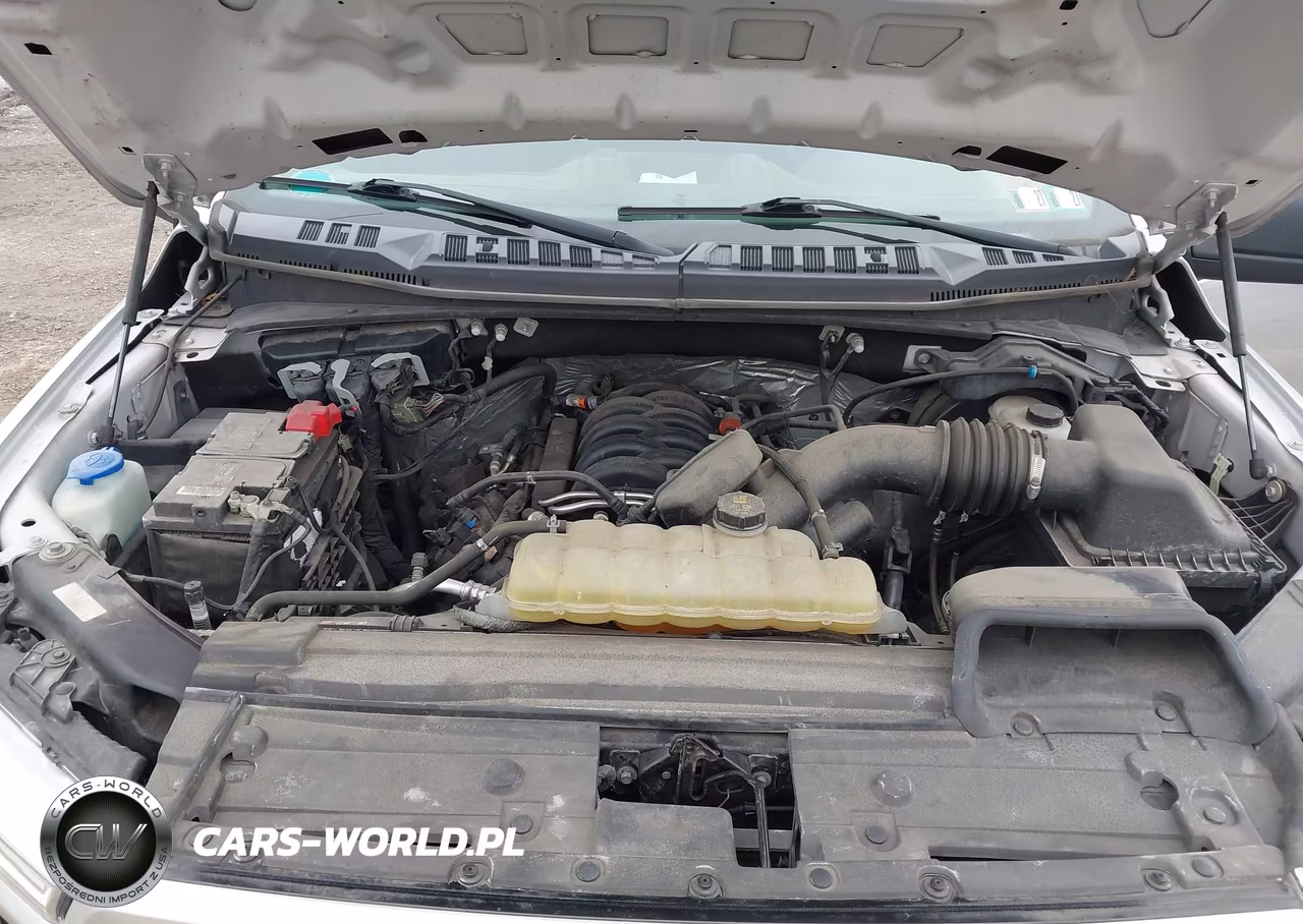 2019 Ford F-150 Xl VIN:1FTFW1E52KFA76970 - 10