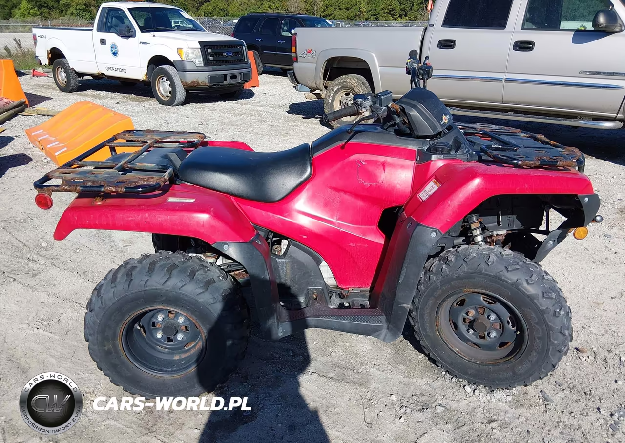 2024 Honda Trx420 Tm VIN:1HFTE3900RJ000905 - 12