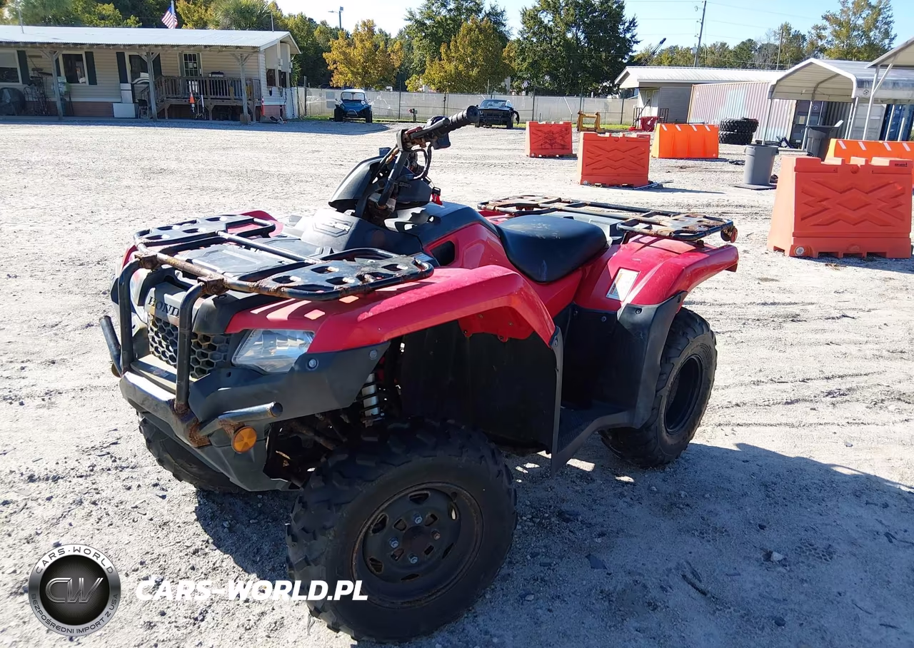 2024 Honda Trx420 Tm VIN:1HFTE3900RJ000905 - 2