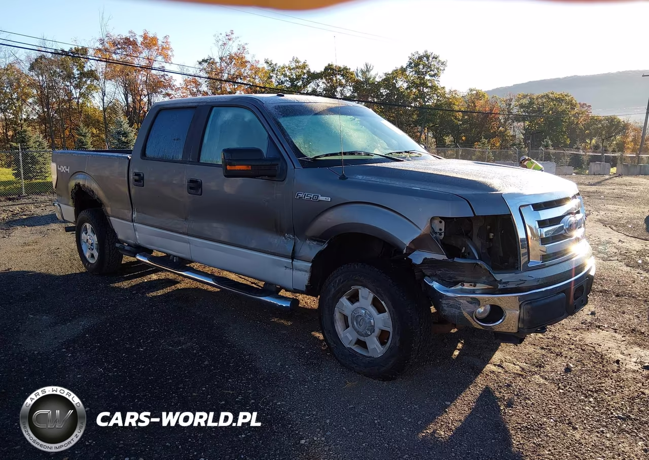 2009 Ford F-150 Xl-Xlt
