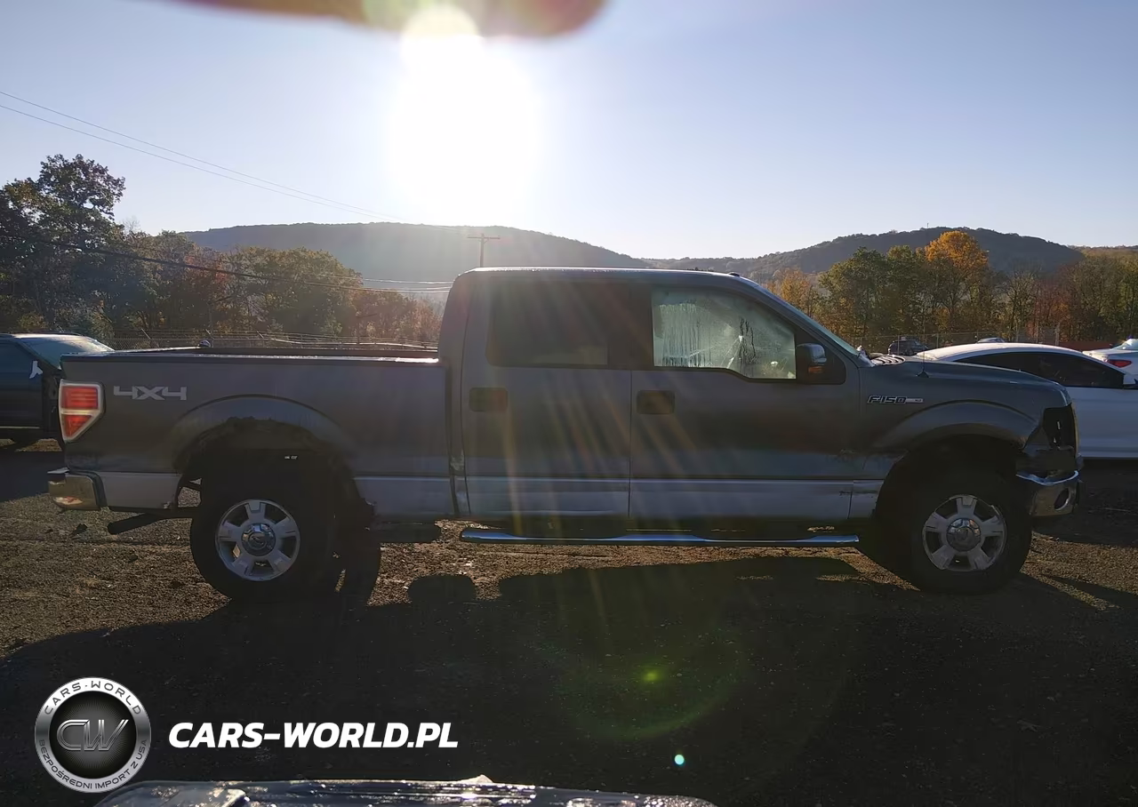 2009 Ford F-150 Xl-Xlt VIN:1FTRW14869FA69796 - 14